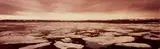 Aaronel Deroy Gruber, Untitled (Ice Floes)