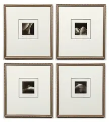 Mikio Watanabe, 4 Body Part Details, 1992, mezzotint, 3.75 x 3.75 inches, each, pencil