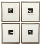 4 Body Part Details, 1992, mezzotint, 3.75 x 3.75 inches, each by Mikio Watanabe, pencil, offered Dec 2020