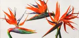 Birds of Paradise by Charles Pfahl, 1984, oil on board, offered Oct 2020