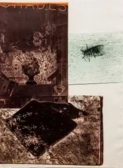 The Razorback Bunch ( by Robert Rauschenberg, Etching I), 1980, color intaglio on Twinrocker paper, offered Oct 2020