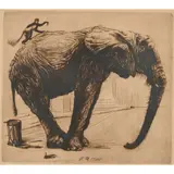 Richard Müller, "Das größte und das kleinste Säugetier," (The Largest and Smallest Mammals), 1920, Gunther: 105