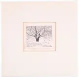 Featured in this lot is this bordered etching by engraver George Coburn born in 1887 and died in 1962. The etching is wonderfully and professionally crafted and set to a matte border and shows a thicket with a tree in the front of it and shows long grass on the ground. The etching is marked 'GCH' for George Coburn Harper and is written on in the margin 'From the Harper's.' An etcher and engraver by George Coburn Harper, Etching, offered Oct 2022