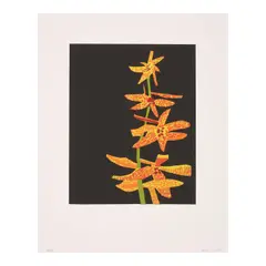 Untitled (2) by Jonas Wood, 2015, Two screenprints in colors on wove paper, each signed in pencil, sold Oct 2025
