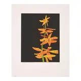 Jonas Wood, Untitled (2), 2015, Two screenprints in colors on wove paper, each signed in pencil