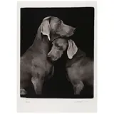 William Wegman, Friends