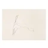 Leaf IV, from Twelve Leaves (Axsom 169, Gemini 806) by Ellsworth Kelly, 1978, Lithograph on Arches 88 paper, sold Jun 2025
