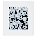 Donald Sultan, Wallflower 8; Wallflower 35, from the Wallflower Suite, 2008, Two screenprints in colors on wove paper, each initialed in pencil