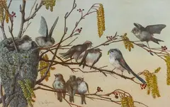 A. De Guerin, A Nest Of Long Tailed Tits, Watercolour
