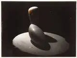 Constantin Brancusi, Leda