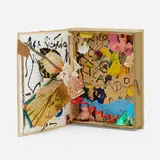 Niki de Saint Phalle, Cher Ricardo, box construction with plastic, printed paper, paint and found objects