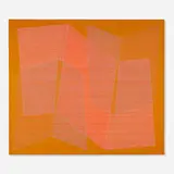 Julian Stanczak, Indistinct Images