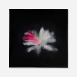 Ross Bleckner, Untitled, 2014, oil on canvas