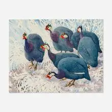 Charles Tunnicliffe, Confusion of Guineafowl, watercolor on paper
