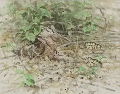 Jonas Nilsson, Untitled, watercolour 36.8 x 45.5cm .