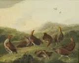 Stephen Elmer, Untitled, Stephen Elmer (1717-1796) A covey of partridges in a landscape oil on canvas 38.5 x 45cm