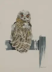 Richard Ward, Untitled, watercolour 38 x 29cm .