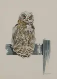 Richard Ward, Untitled, watercolour 38 x 29cm .