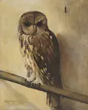 Lodewijk Christiaan van der Steen, Untitled, oil on canvas 50 x 40cm .