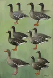 Sir Peter Markham Scott, Untitled, oil on canvas 76 x 51cm Sold together with Peter Scott and Hugh Boyd