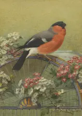 Joseph Wolf, Untitled, watercolour 25 x 18cm