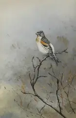 Untitled by George Edward Lodge, watercolour and body colour 28 x 19cm ., sold Oct 2020