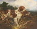 George Armfield, Untitled
