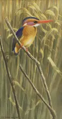 Chlöe Talbot-Kelly, Untitled, watercolour and bodycolour 21.5 x 11cm .