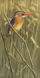 Chlöe Talbot-Kelly, Untitled, watercolour and bodycolour 21.5 x 11cm .