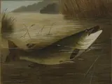 A. Roland Knight, Untitled, watercolour 15 x 32.5cm and 12.5 x 16.5cm (2)