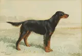 Reuben Ward Binks, Untitled