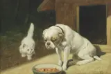 Arthur Heyer, Untitled, oil on canvas 51 x 71cm