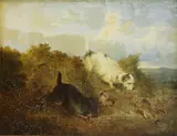 Paul Jones, Untitled