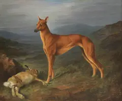 Lillian Cheviot, Untitled, oil on canvas 56 x 66cm
