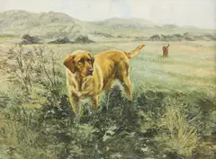 Henry Wilkinson, Untitled, oil on canvas 50.5 x 66cm .