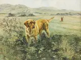 Henry Wilkinson, Untitled, oil on canvas 50.5 x 66cm .