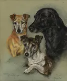 Marjorie Cox, Untitled