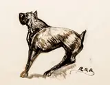Portrait of a Dog (Boxer) by Rudolf Raimund Ballabene, watercolor and wash on paper, initialed lower right, offered Aug 2020