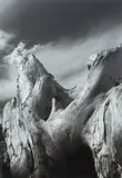 Clyde Butcher, Driftwood #3, silver gelatin