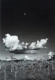 Clyde Butcher, Moon Rise #2, silver gelatin