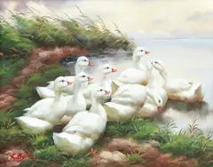 K. Byrne, A Bevy of Swans, oil on board
