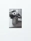 Bill Jacklin, Anemones Portfolio: set of 7 prints, etching and aquatint on wove paper, pencil
