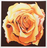 Lowell Nesbitt, Yellow Rose, 1982, serigraph printed in colors on Arches paper