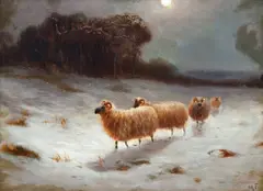 Malcolm Fraser, Sheep Under the Moonlight, oil on artist's board, initialed M.F. lower right