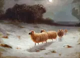 Sheep Under the Moonlight by Malcolm Fraser, oil on artist's board, initialed M.F. lower right, offered May 2020