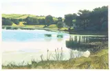 Cattails, 1984, reduction color by Gordon Mortensen, woodcut, offered May 2020