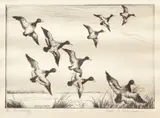 On The Wing by Paul F. Berdanier Sr., etching showing ducks in flight, offered Mar 2020