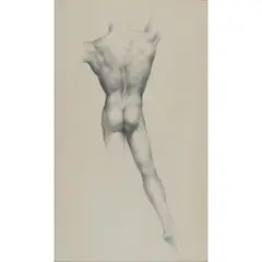 Alexander, Canedo (Mexican, 1902 - 1978), Nude (Back), graphite on paper, [approximate dimensions -