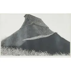 Tanaka Ryohei, Untitled (Thatched House with Grasses), 1975, etching, [approximate dimensions -
