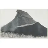 Tanaka Ryohei, Untitled (Thatched House with Grasses), 1975, etching, [approximate dimensions -